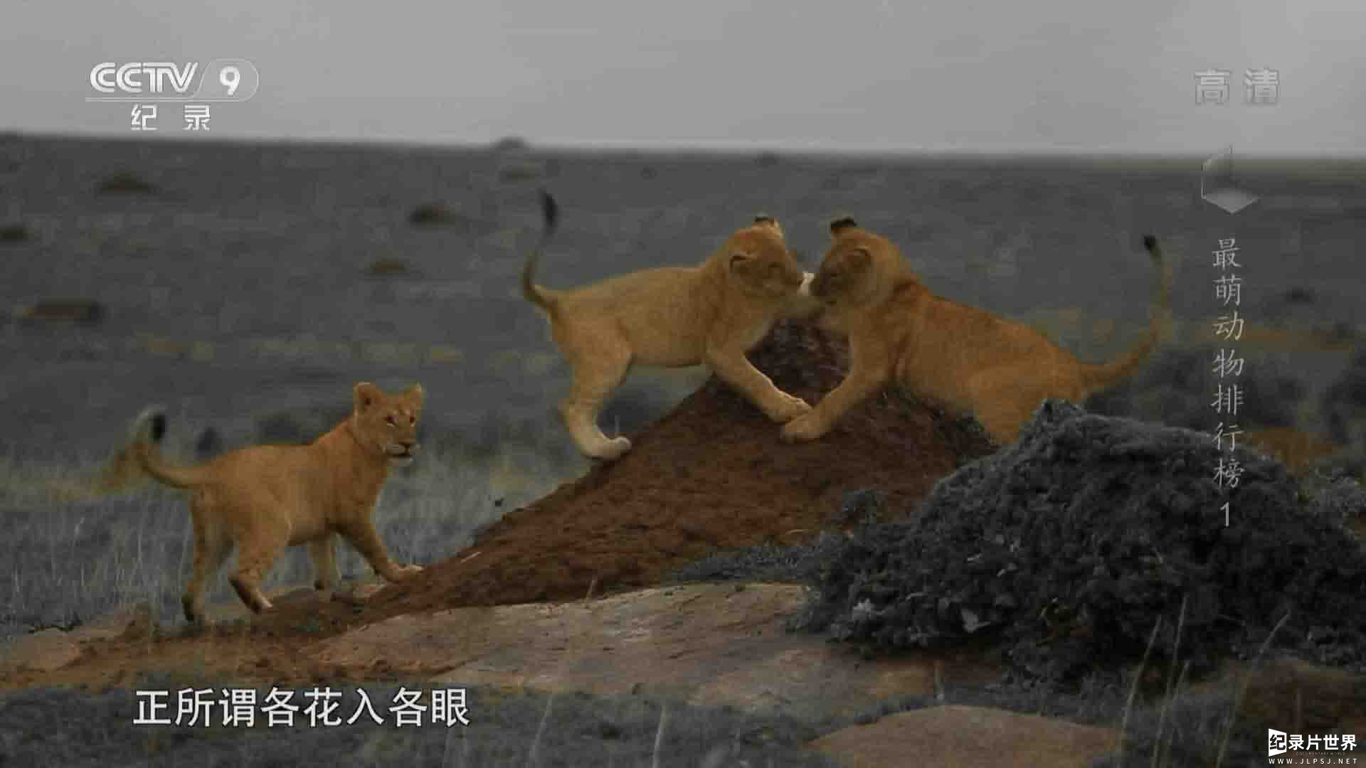 央视纪录片《最萌动物排行榜 Cutest Animals 2018》全6集