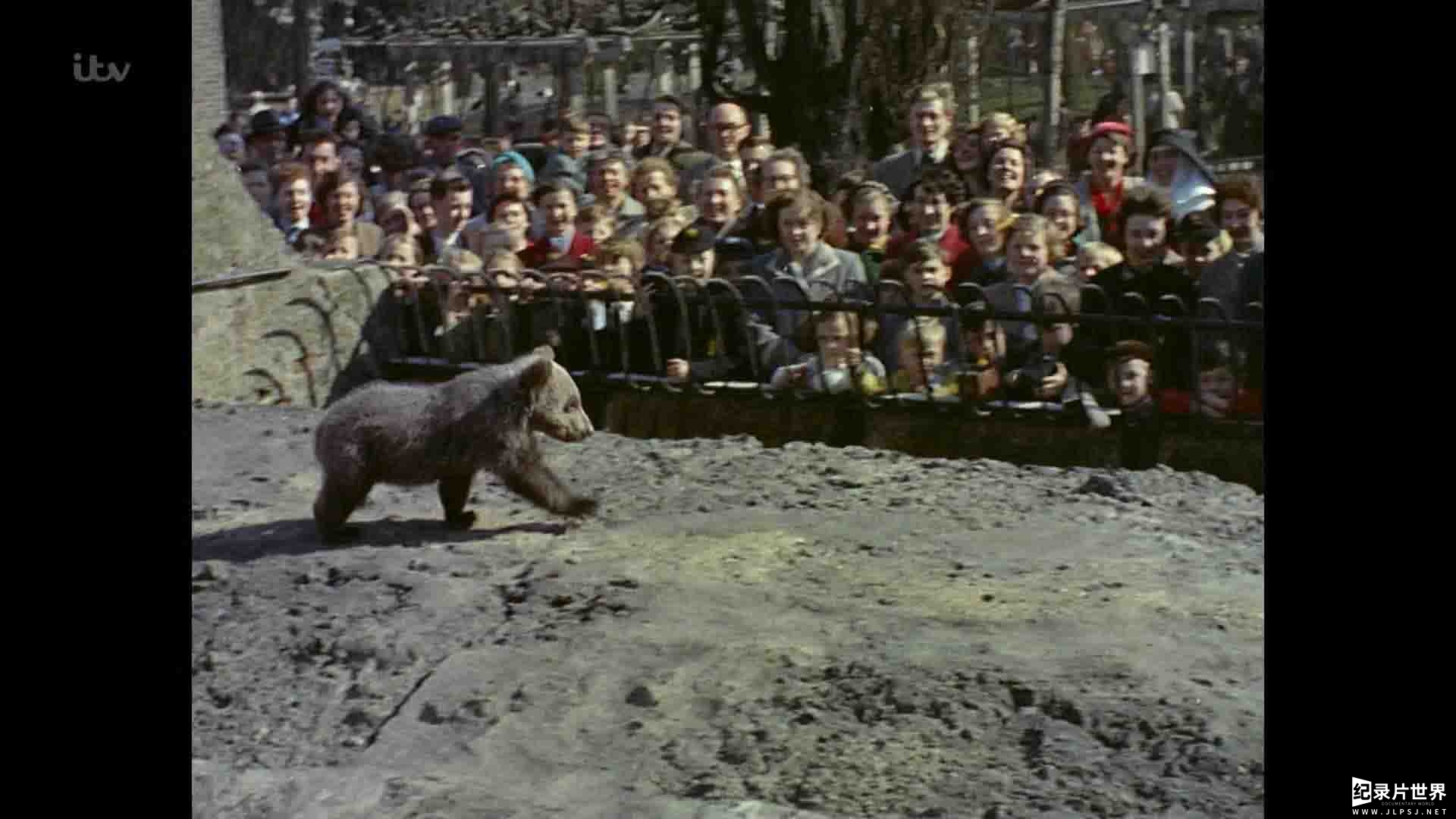 ITV纪录片《伦敦动物园：非凡的一年 London Zoo: An Extraordinary Year 2020》全2集