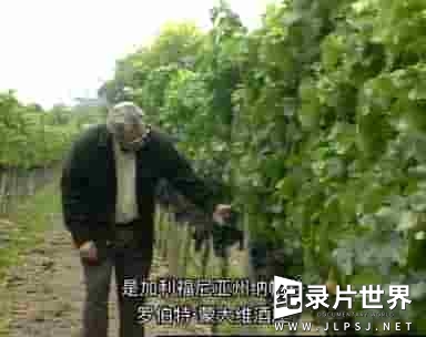 葡萄酒纪录片《葡萄酒指南 Wineworks -Your Complete Video Guide To Wine 》全1集