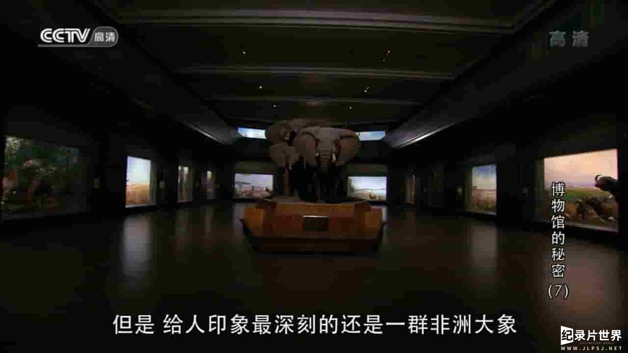 加拿大纪录片《博物馆的秘密 Museum Secrets 2012》全1-3季全22集