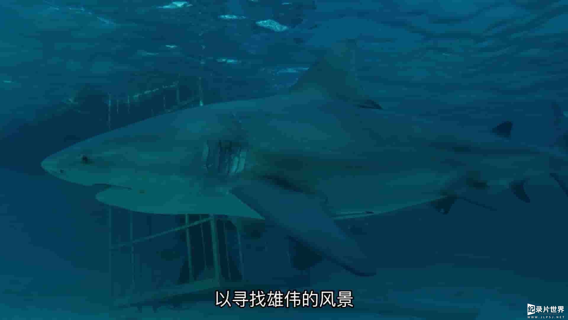 国家地理《鲨鱼火山 Sharkcano 2020》全1集