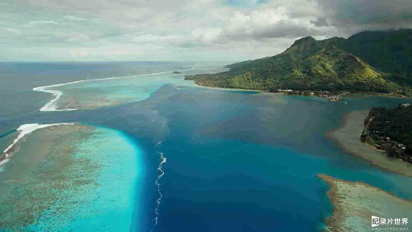 IMAX 4K纪录片《珊瑚礁历险记 Coral Reef Adventure》全1集