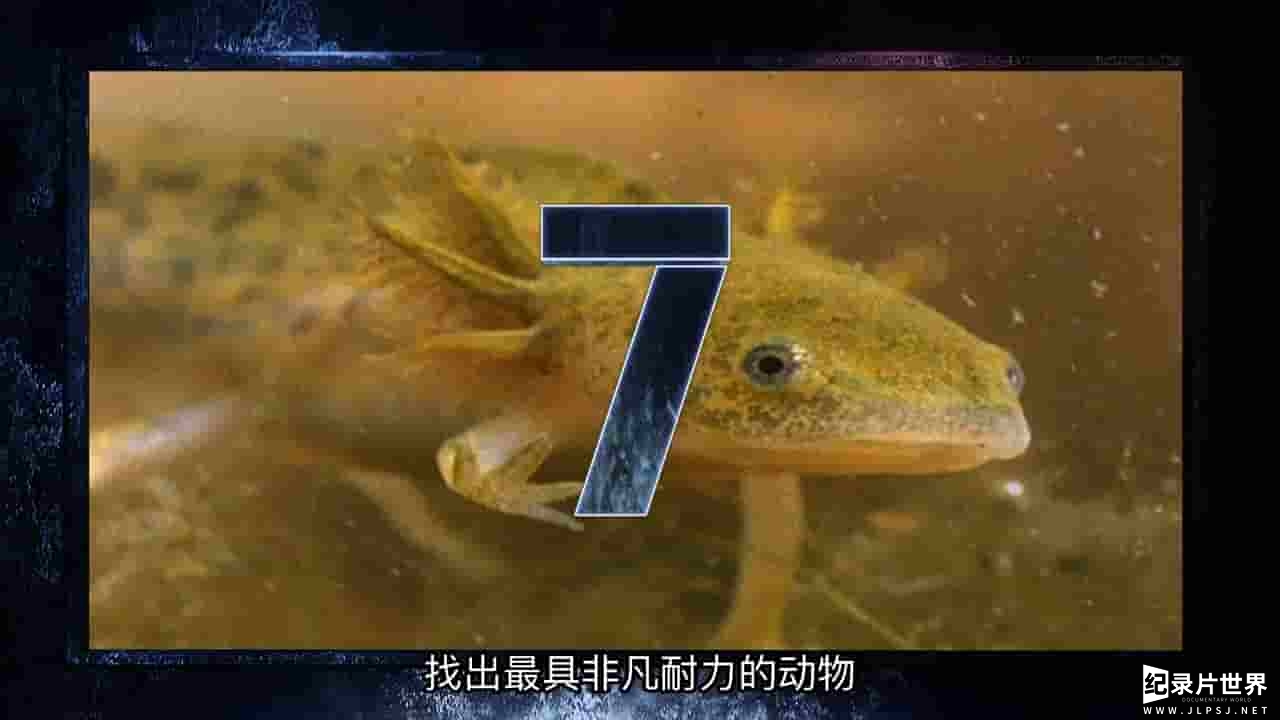 国家地理《求生者／终极动物争霸战 Ultimate Animal Countdown 2013》全1集 