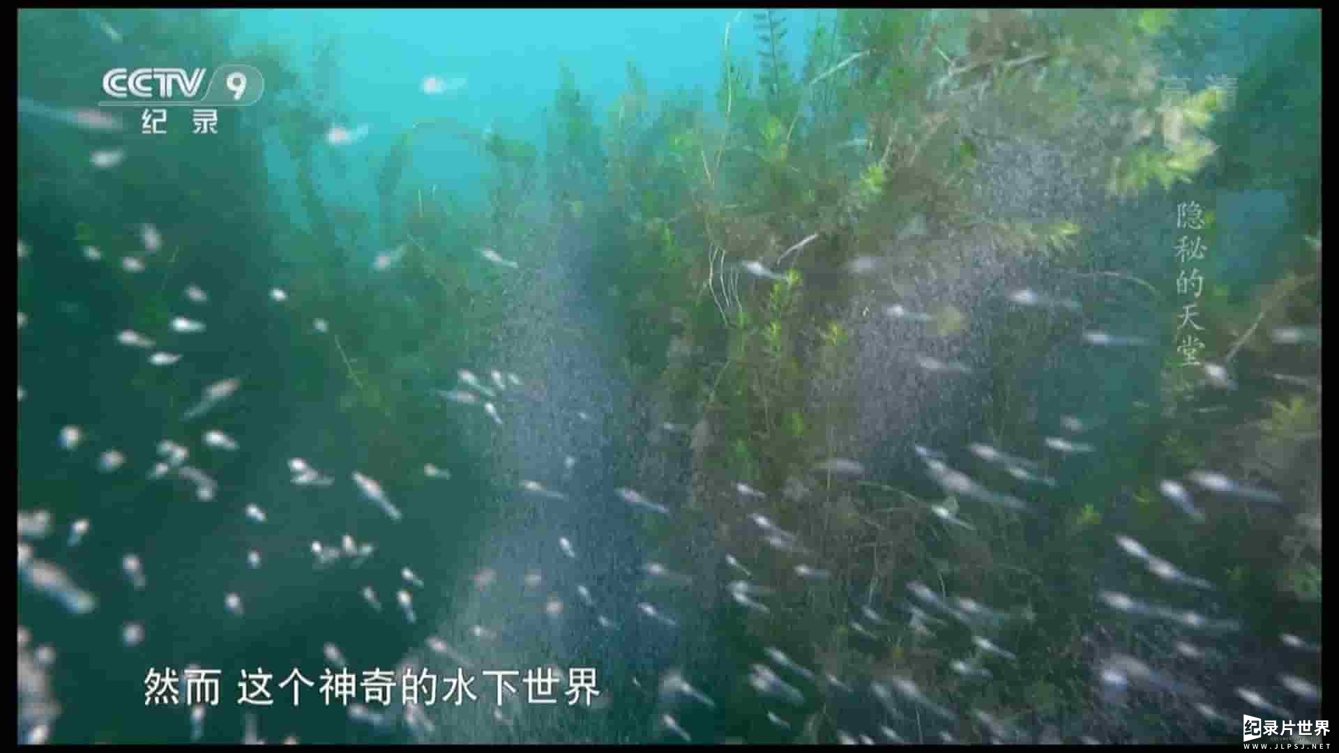 法国纪录片《隐秘的天堂Hidden Paradise - Nature Returns to a Forgotten Lake》全1集