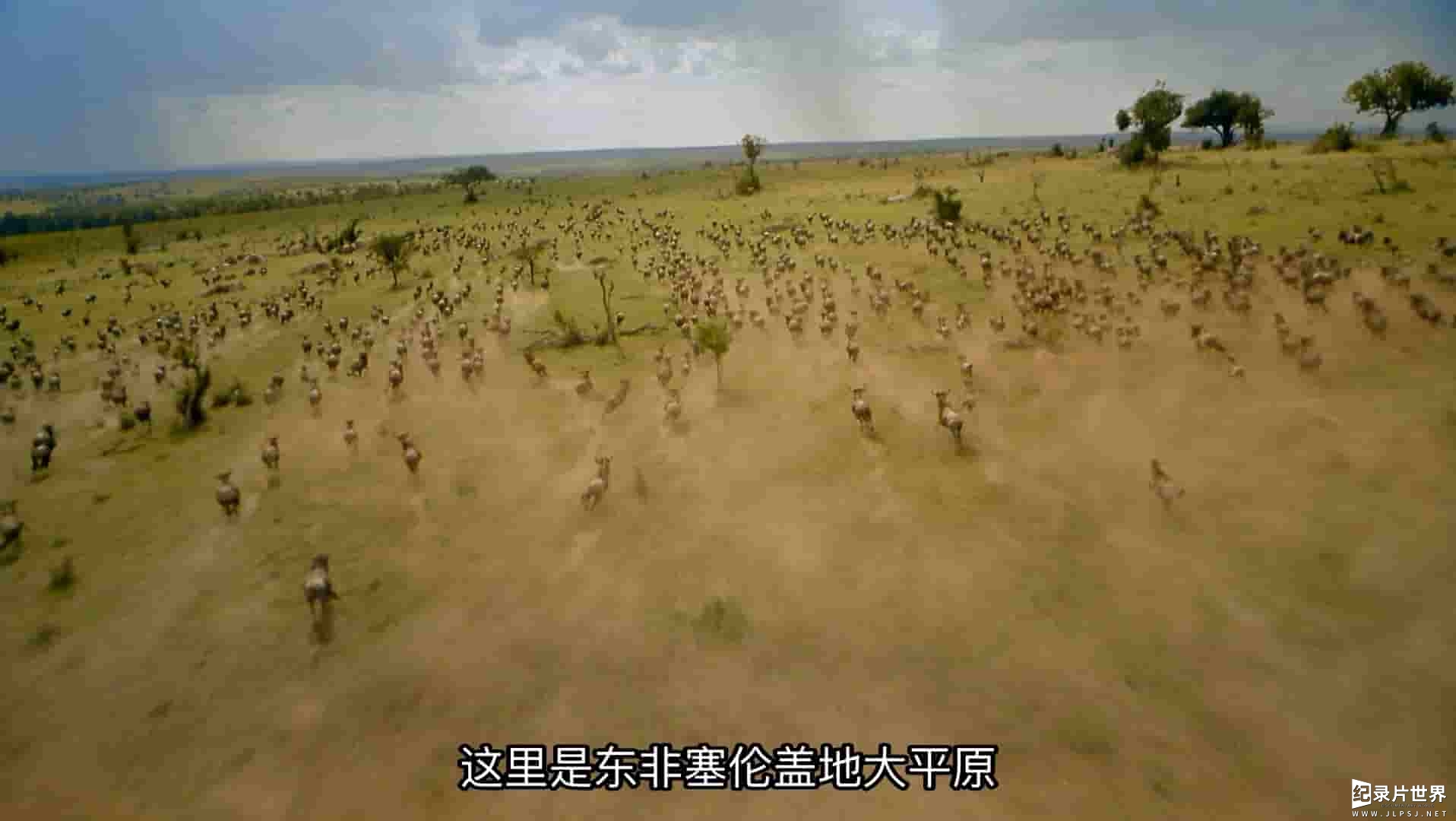 IMAX纪录片《非洲：塞伦盖蒂国家公园 Africa: The Serengeti 1994》全1集