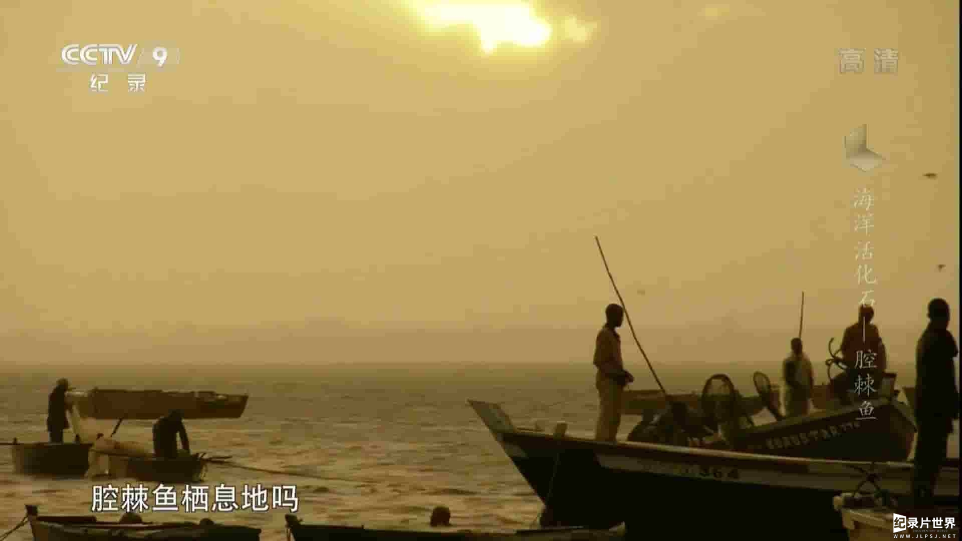 央视纪录片《海洋活化石——腔棘鱼 Dinofish 2013》全1集 