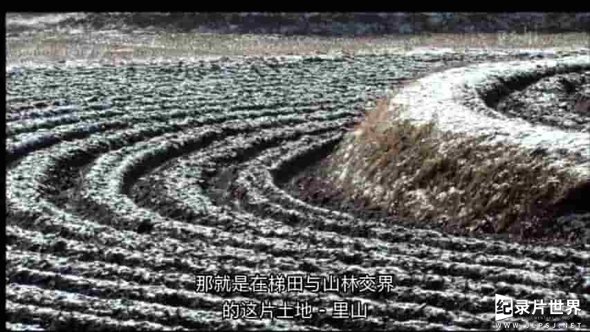 NHK纪录片《映像诗 – 里山: 还记得吗? 故乡的风景 Satoyama: Do You Remember? The View Of Hometown 2008》全1集