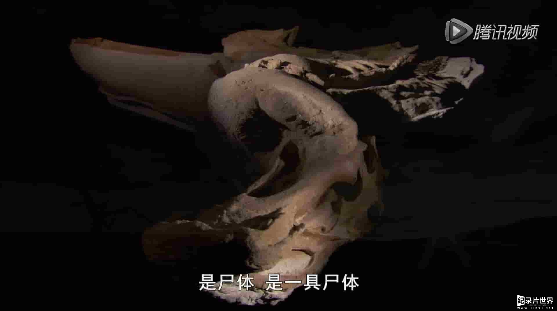  美国纪录片《原始恐龙的秘密 Secrets Of The Dinosaur Mummy 2016》全1集