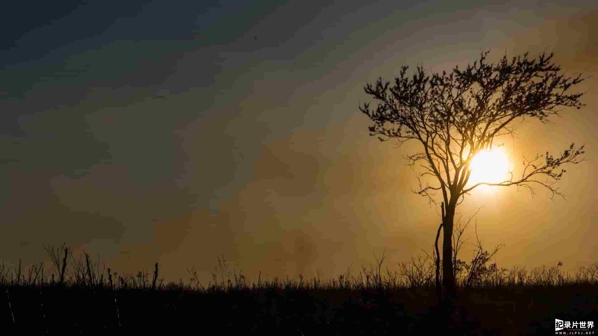 PBS纪录片《景观肖像：弗林特丘陵 Portrait of a Landscape The Flint Hills 2017》全1集 