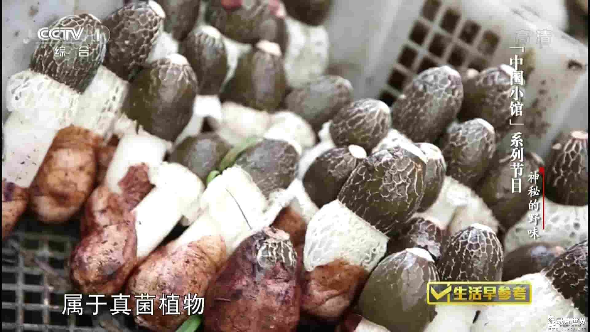 央视纪录片《神秘的野味》全3集