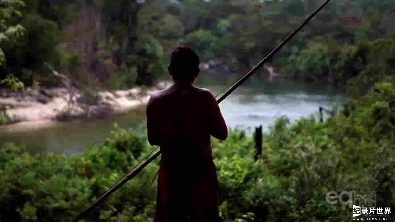 ARTE/ABC/Smithsonian纪录片《亚马逊密码 The Amazon Code 2012》全1集 