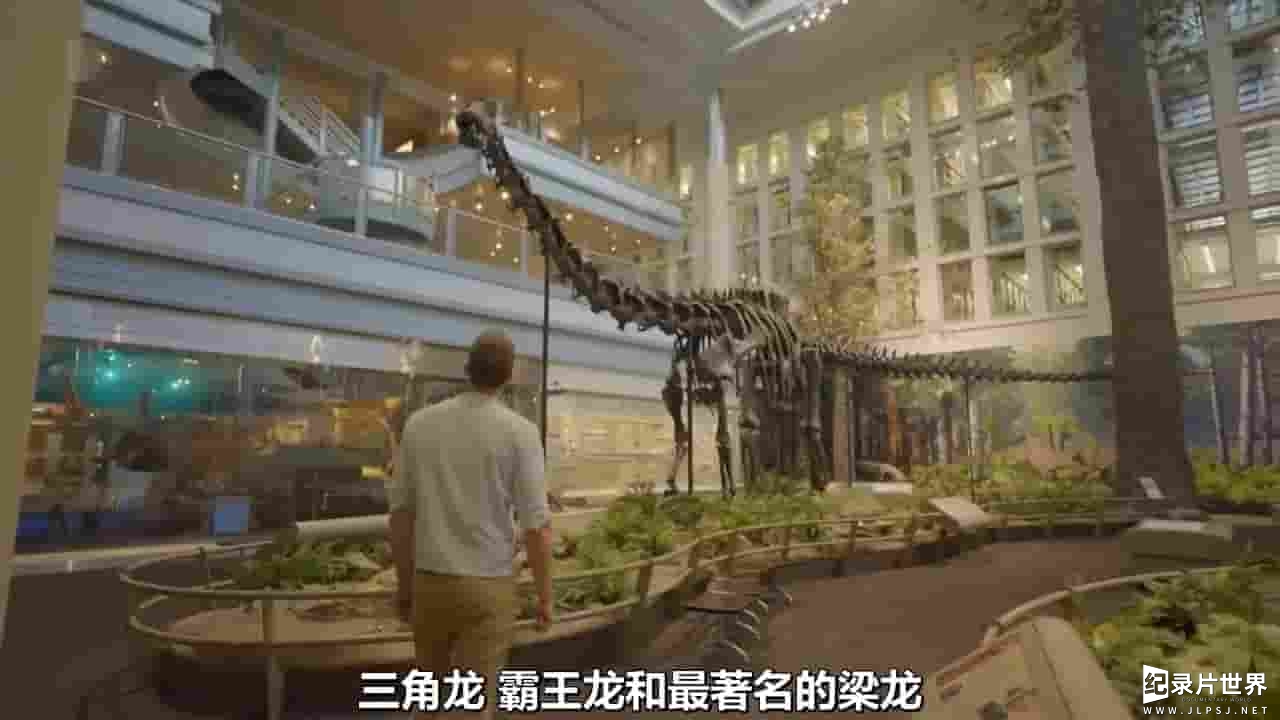 Ch5纪录片《走进恐龙谷 Into Dinosaur Valley with Dan Snow 2022》全1集 