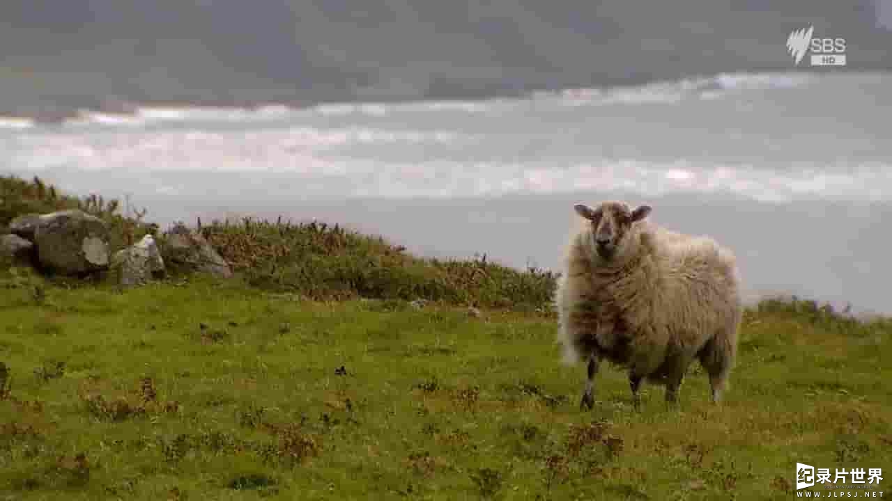 SBS纪录片《爱尔兰海岸 The Coasts Of Ireland 2014》全5集