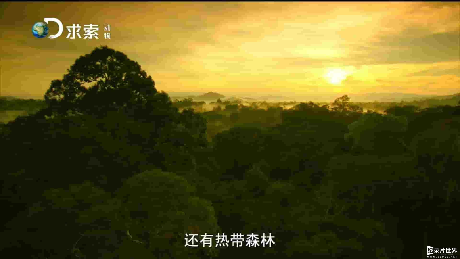 求索纪录《中南半岛野生大地 Wildest Indochina》全5集