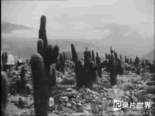 墨西哥纪录片《墨西哥万岁 Que viva Mexico1979》全1集