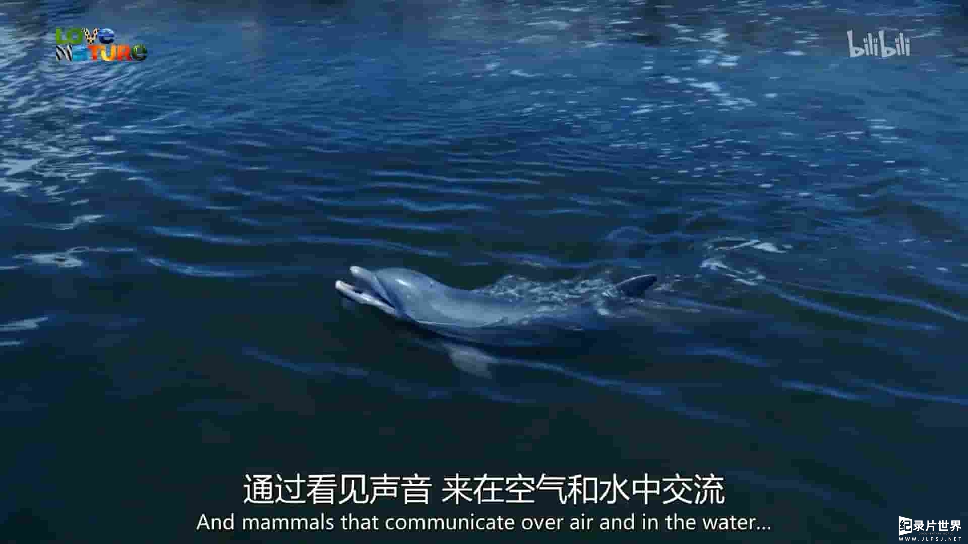 BBC纪录片《神奇的动物感官 Animal Senses 2017》全6集