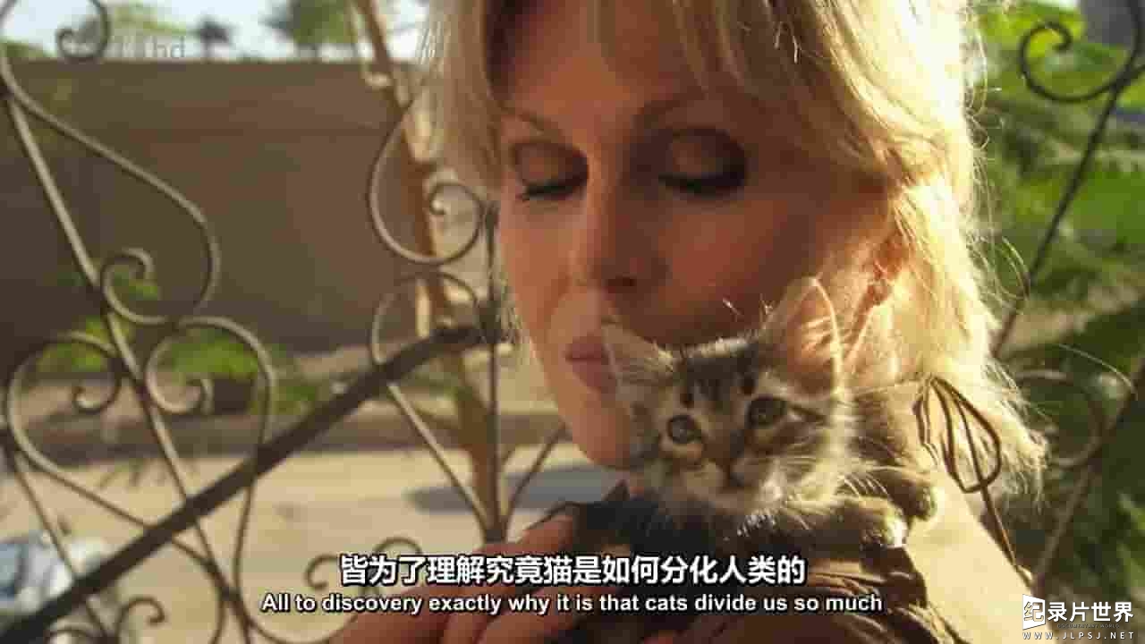 ITV纪录片《安娜·拉姆利：喜欢猫的女人 Joanna Lumley: Catwoman》全2集