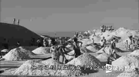 法国纪录片《阿拉亚 Araya 1959》全1集