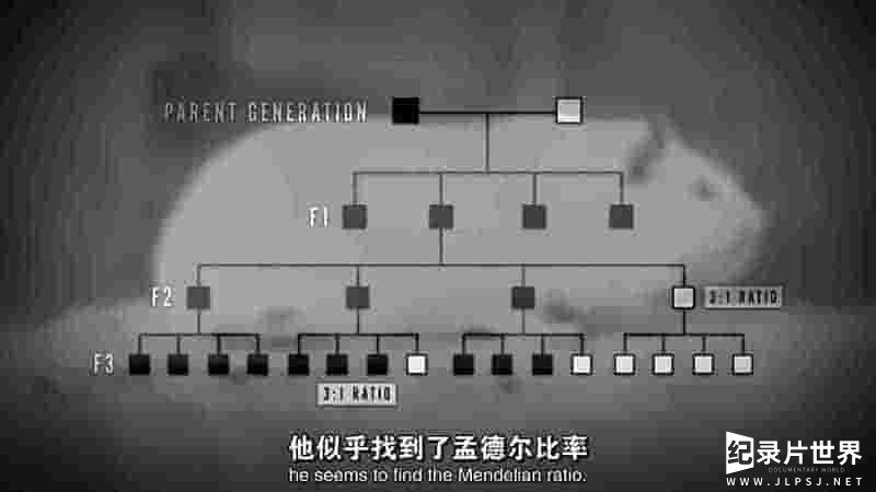 美国纪录片《优生学改革运动/优生十字军 The Eugenics Crusade 2018》全1集 