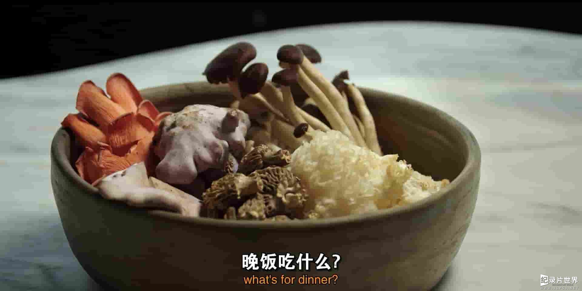 PBS纪录片《食物的历史 The History of Food》全5集 