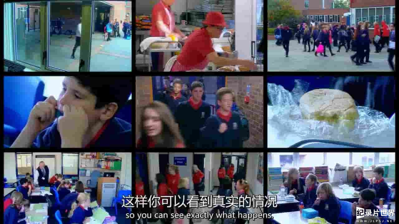 英国纪录片《我们的学校 Our School 2014》第1季全15集