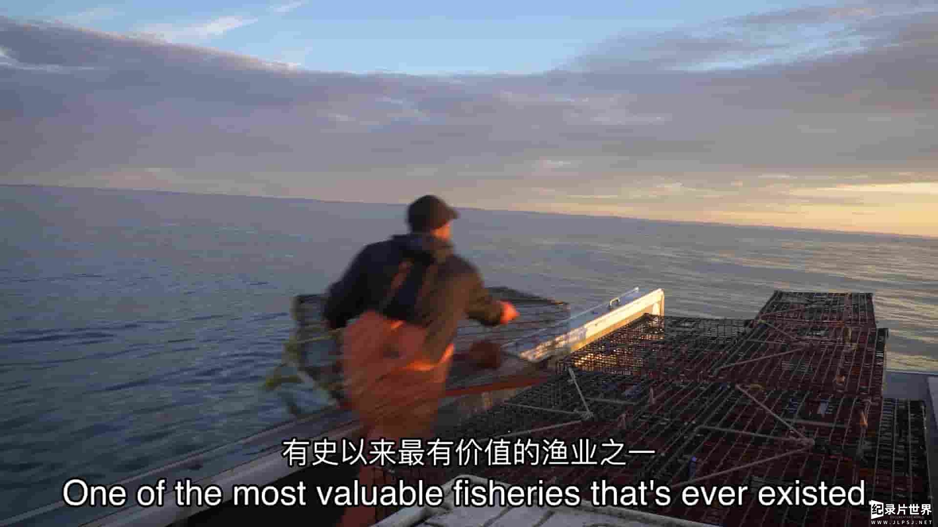 美国纪录片《龙虾战争：争夺世界上最富饶渔场的战斗 Lobster War: The Fight Over the World's Richest Fishing Grounds 2018》全1集 