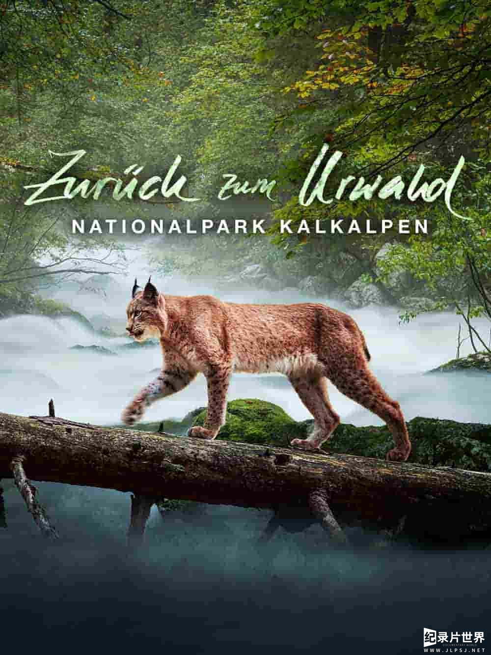 奥地利纪录片《回归远古森林：卡尔克阿尔卑斯国家公园 Zurück zum Urwald - Nationalpark Kalkalpen 2015》全1集 