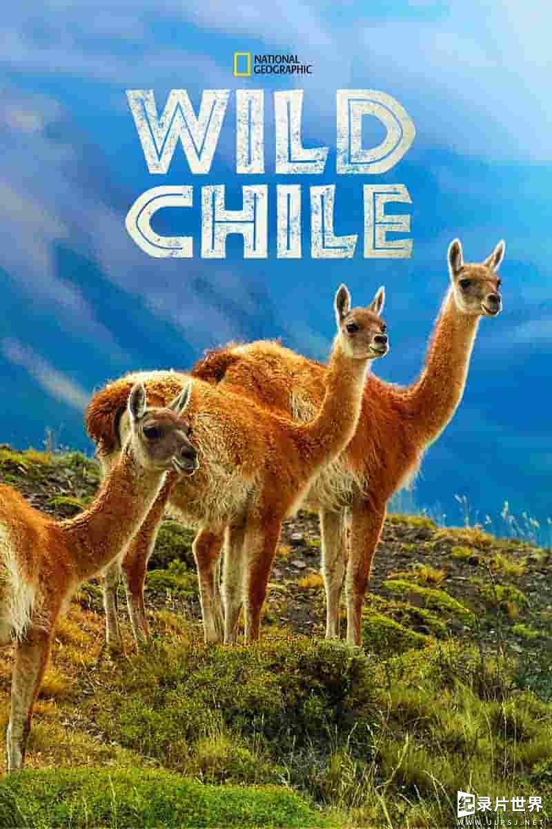 国家地理《狂野智利 Wild Chile 2018》全3集 