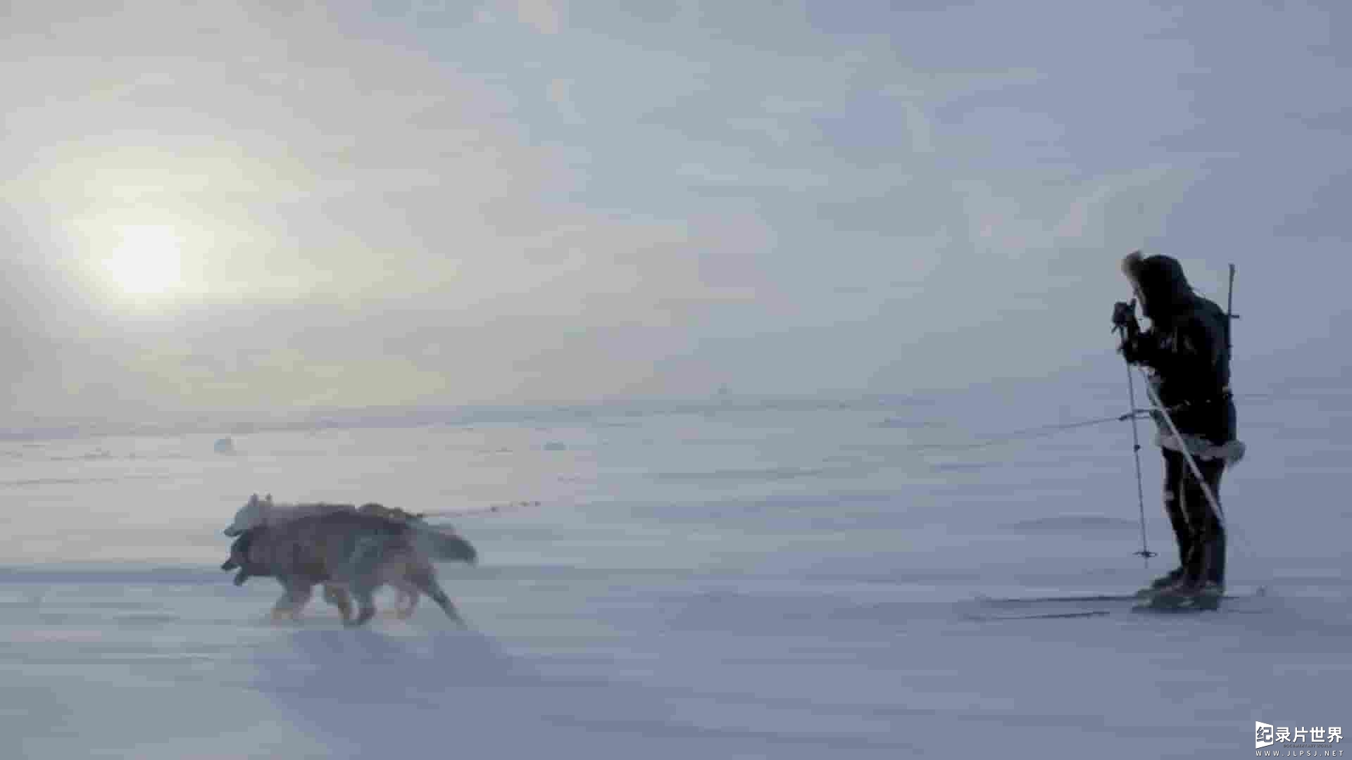 Curiosity纪录片《冰犬 Ice Dogs 2022》全1集 