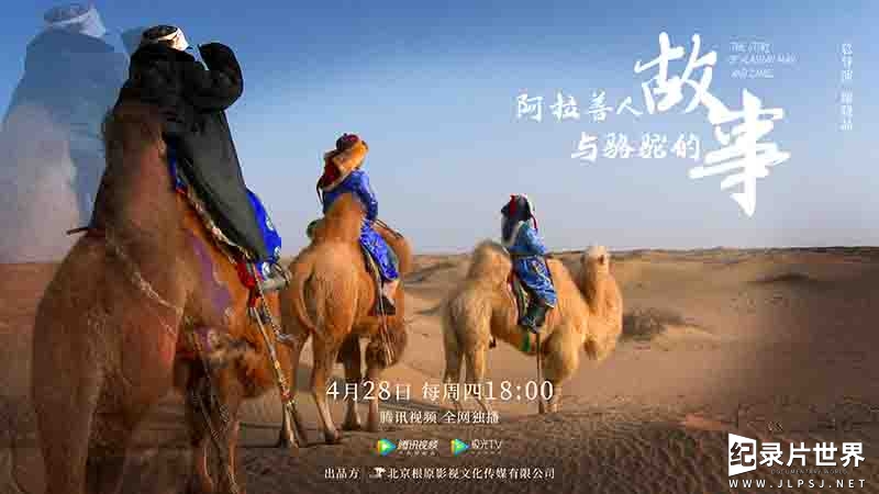 国产纪录片《阿拉善人与骆驼的故事  The Story Of Alashan Man And Camel 2022》全4集