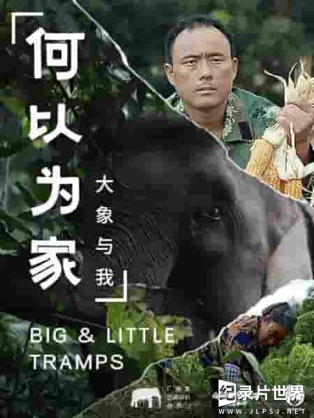 国产纪录片《何以为家：大象与我 BIG & LITTLE TRAMPS 2020》全3集