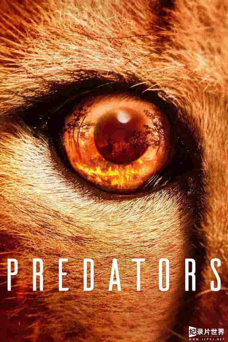 美国纪录片《食肉动物 Predators  2022》全5集