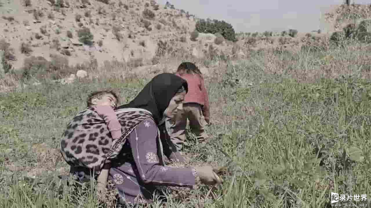伊朗纪录片《伊朗游牧民族的生活》第3部分