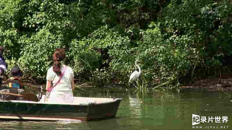 美国纪录片《观鸟者：中央公园效应 Birders: The Central Park Effect 2012》全1集