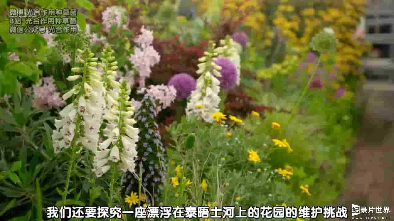  BBC纪录片《园艺世界 Gardeners’ World 2013》第46-50季全162集