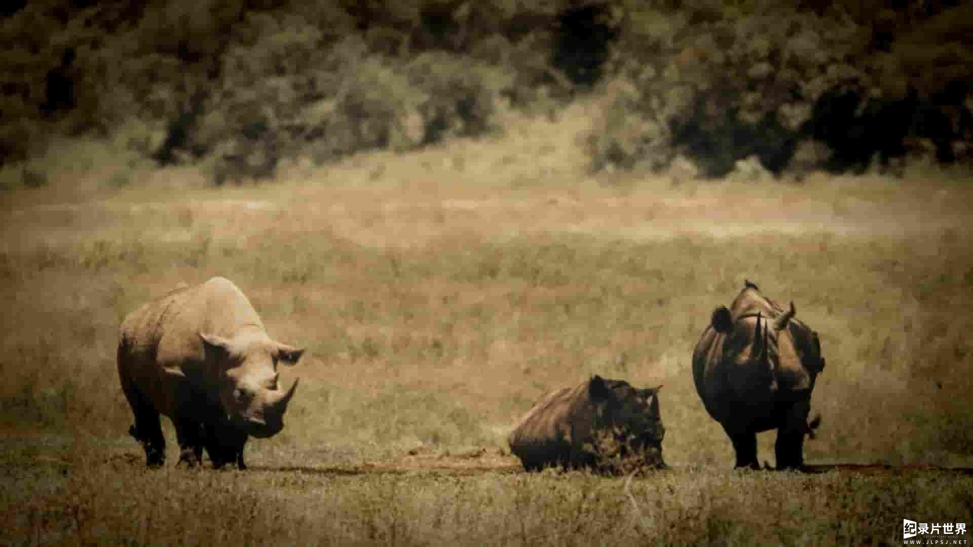  国家地理《原始求生记：极致非洲野生动物园 rimal Survivor: Extreme African Safari 2022》第1季全6集