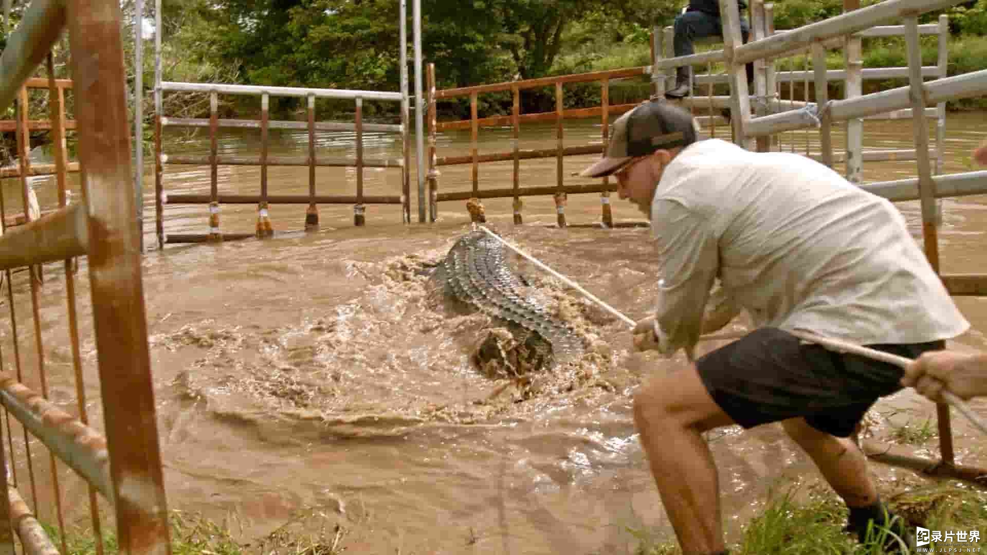 澳大利亚纪录片《绝鳄之境 Wild Croc Territory 2022》第1季全10集