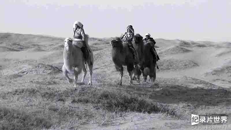 国产纪录片《阿拉善人与骆驼的故事 The Story Of Alashan Man And Camel 2022》全4集