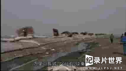  NHK纪录片《遥远的亲情:中国农民工的冬天》全1集 