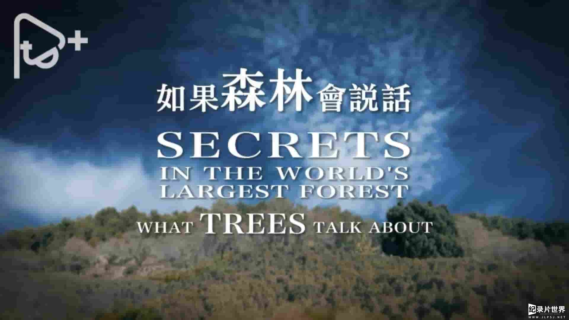 PTS公视《如果森林会说话 Secrets In The World‘s Largest Forest 2018》全1集 