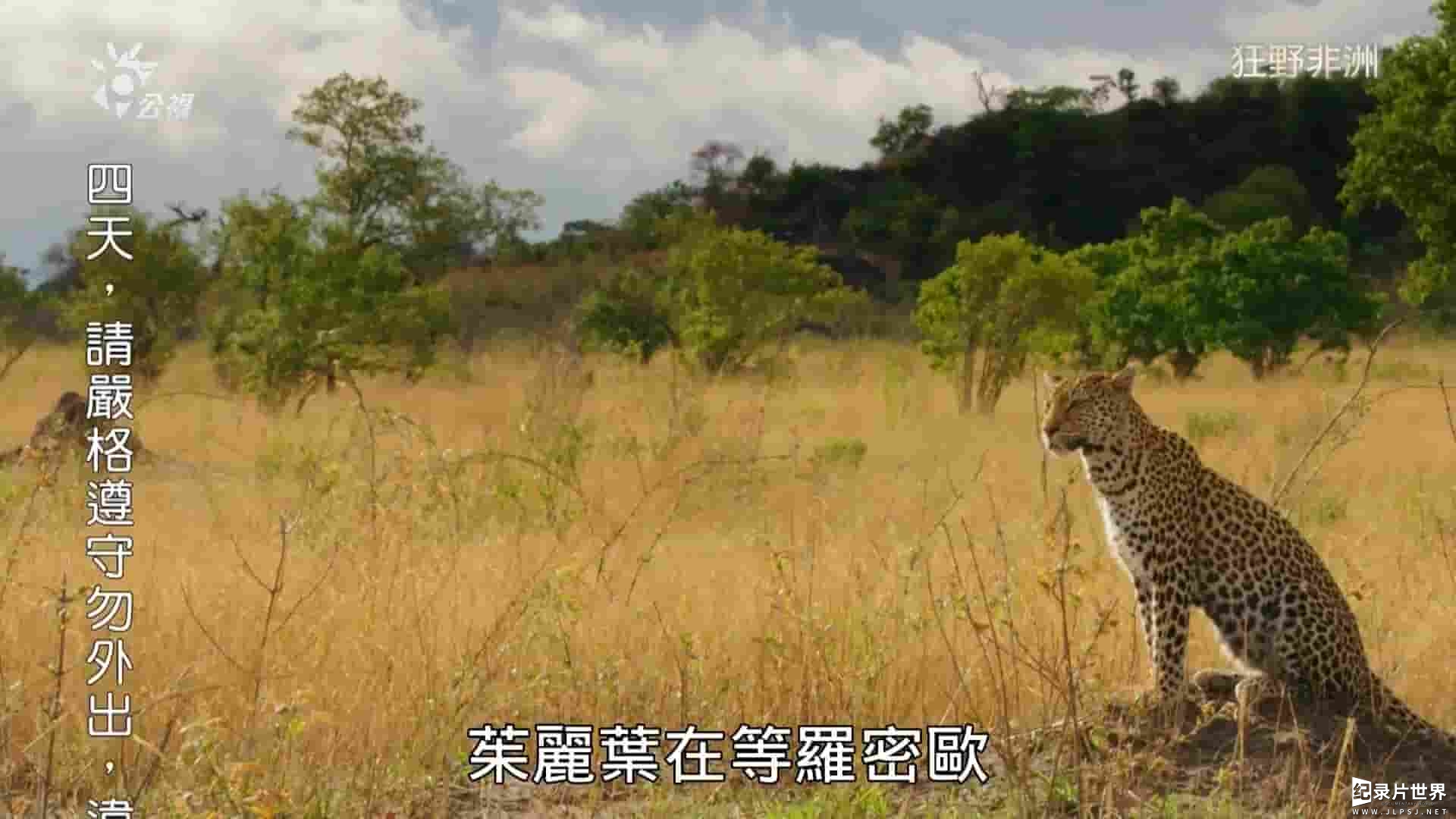 PTS公视《狂野非洲 Africa‘s Wild Side 2018》全3集