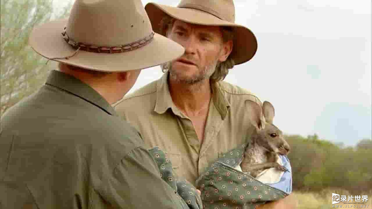 ITV纪录片《狂野澳大利亚/野性澳大利亚 Wild Australia With Ray Mears 2016》全6集