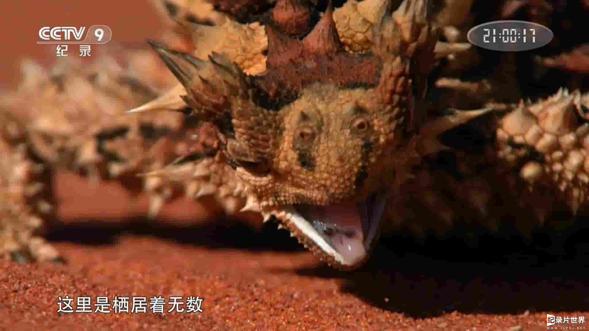 央视改版/动物星球频道《野性澳大利亚 Wild Australia 2015》全5集