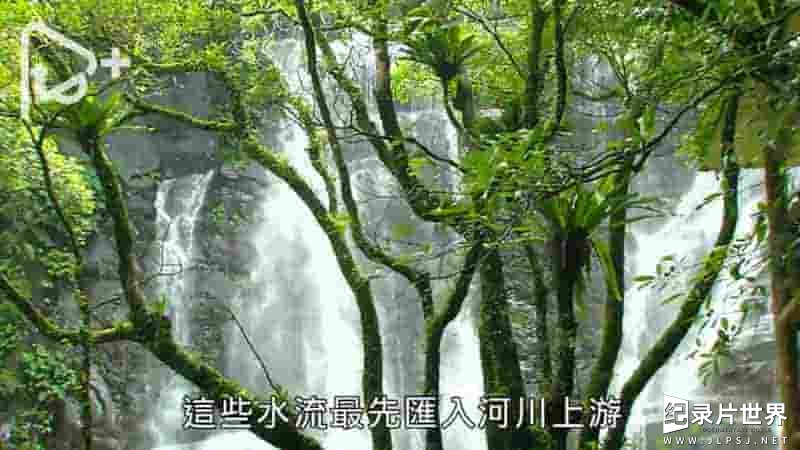 PTS公视《水水世界 2015》全1集