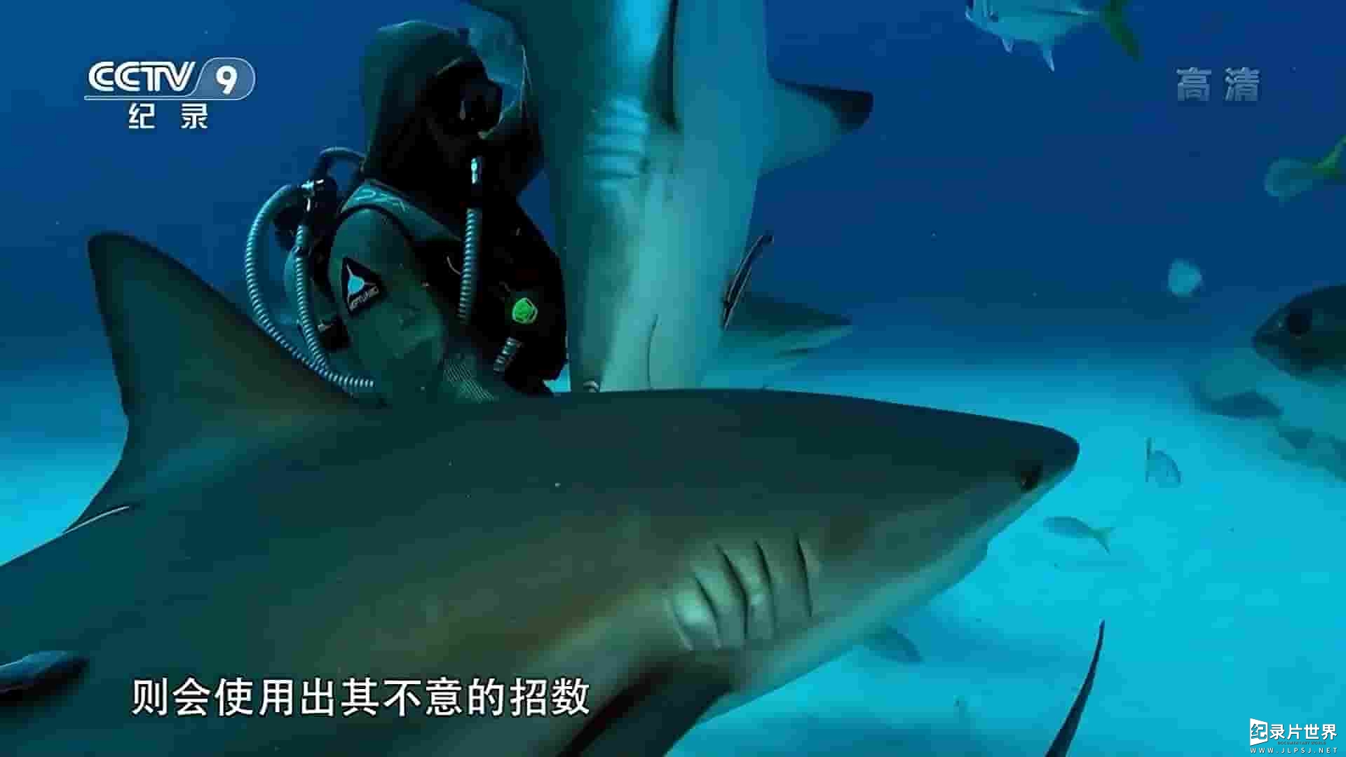 央视纪录片《“鲨”手探秘 Shocking! Sharks 2016》全1集