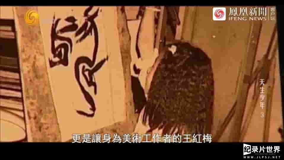 纪录大时代《天生少年·走近中国神童 2017》全5集