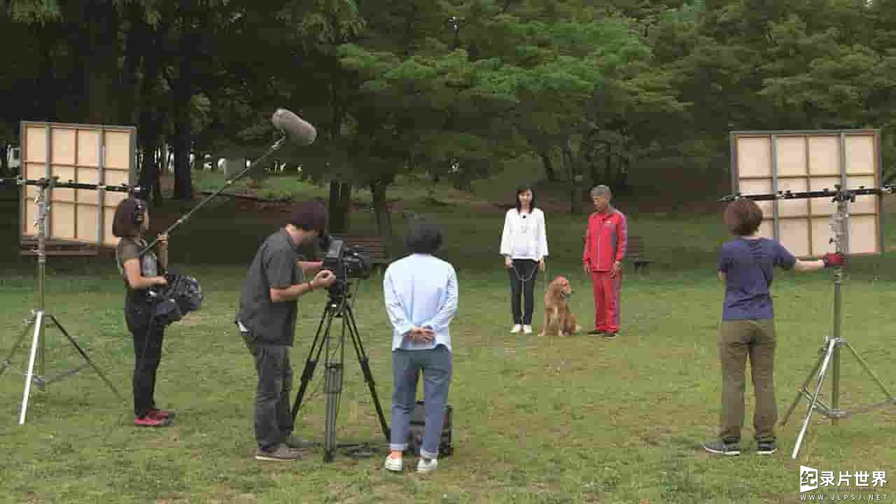 日本纪录片《为你取名的那一天 犬に名前をつける日 2015》全1集