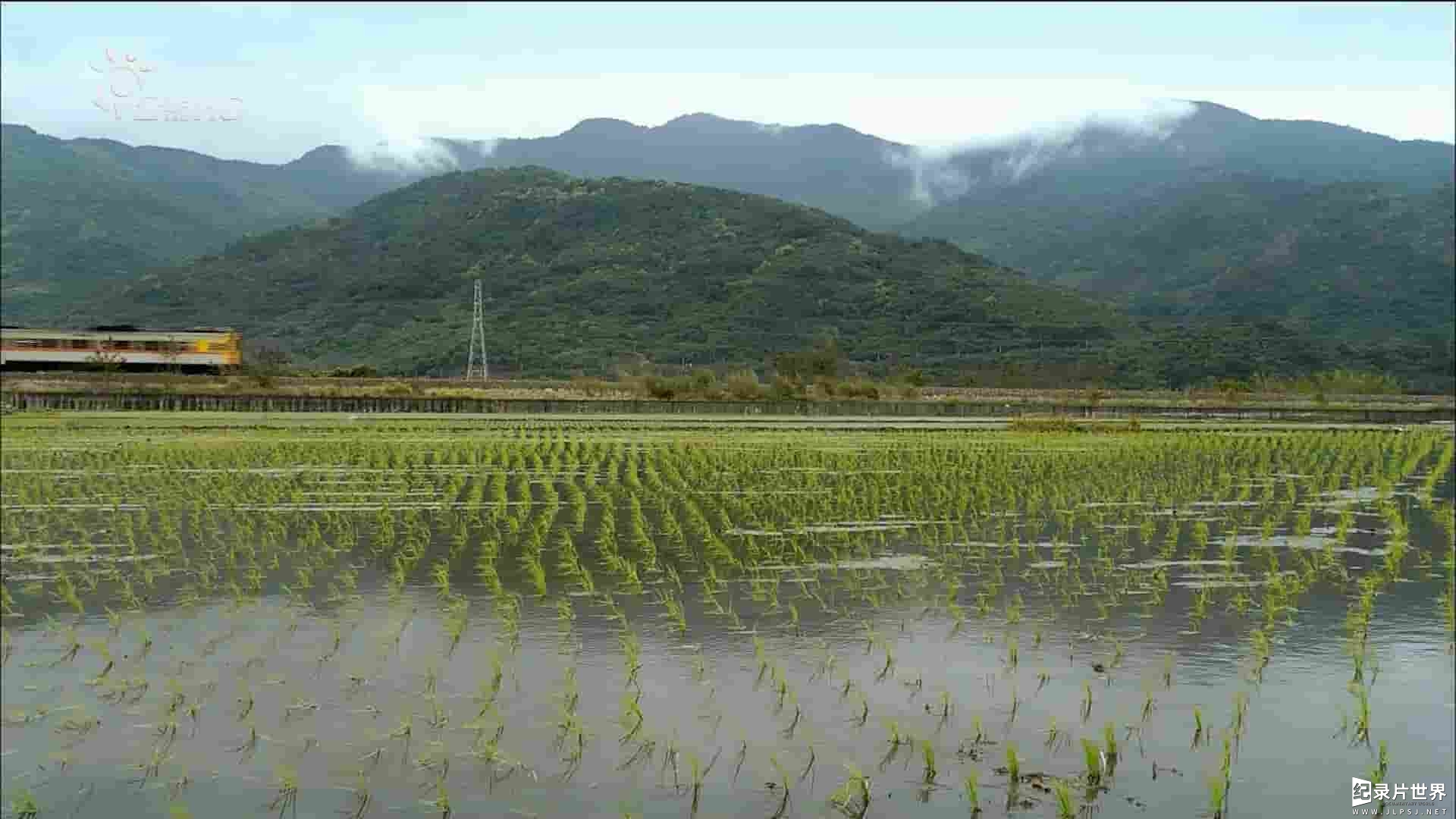 PTS公视《台湾生态系列：发现美丽台湾之春夏秋冬》全1集 