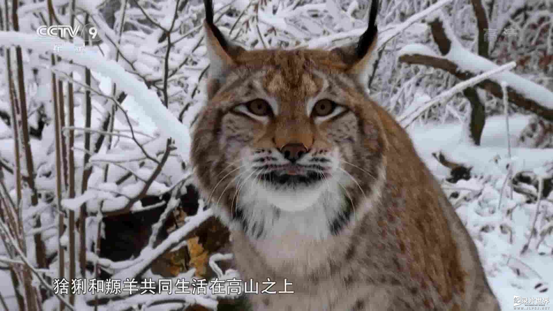 BBC纪录片《阿尔卑斯山脉：高山与湖泊 2018》全1集