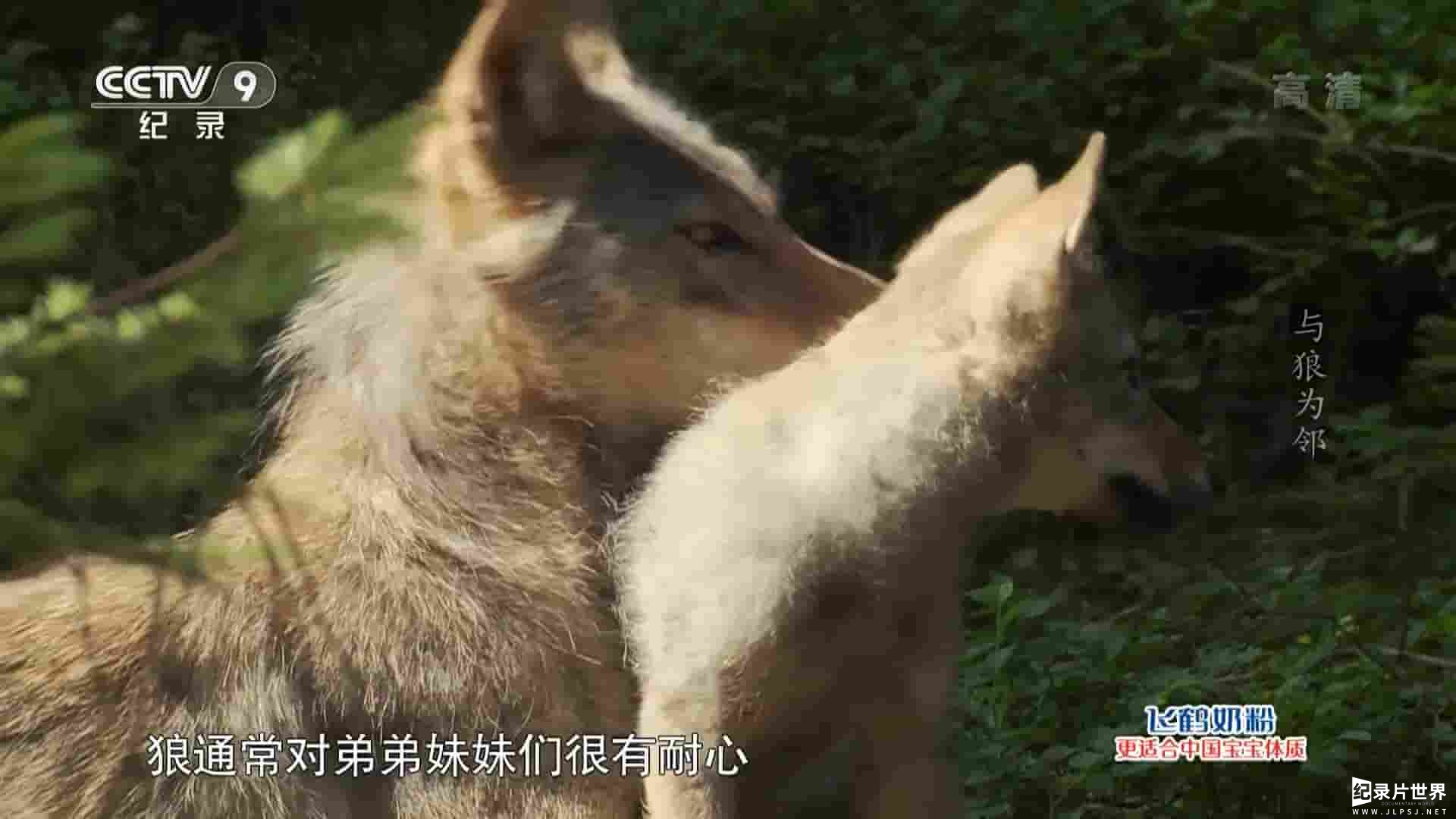 德国纪录片《与狼为邻 Familie Wolf – Gefährliche Nachbarn 2018》全1集